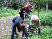 ZNA Middelheim is actief in het park